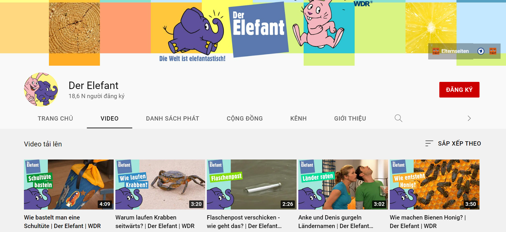 Các bé vừa được học tiếng Đức vừa có thêm kiến thức mới qua các câu chuyện từ Der Elefant