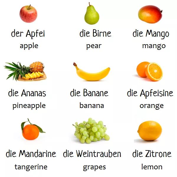 Từ vựng cơ bản về trái cây trong trình độ tiếng Đức A1