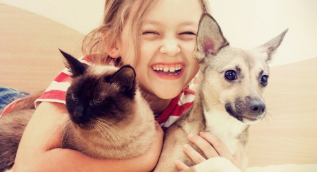 Từ vựng tiếng Đức chủ đề động vật A1.1